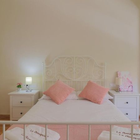 C102 - Huge And Stylish 5 Bedroom By The Center Málaga Exterior foto